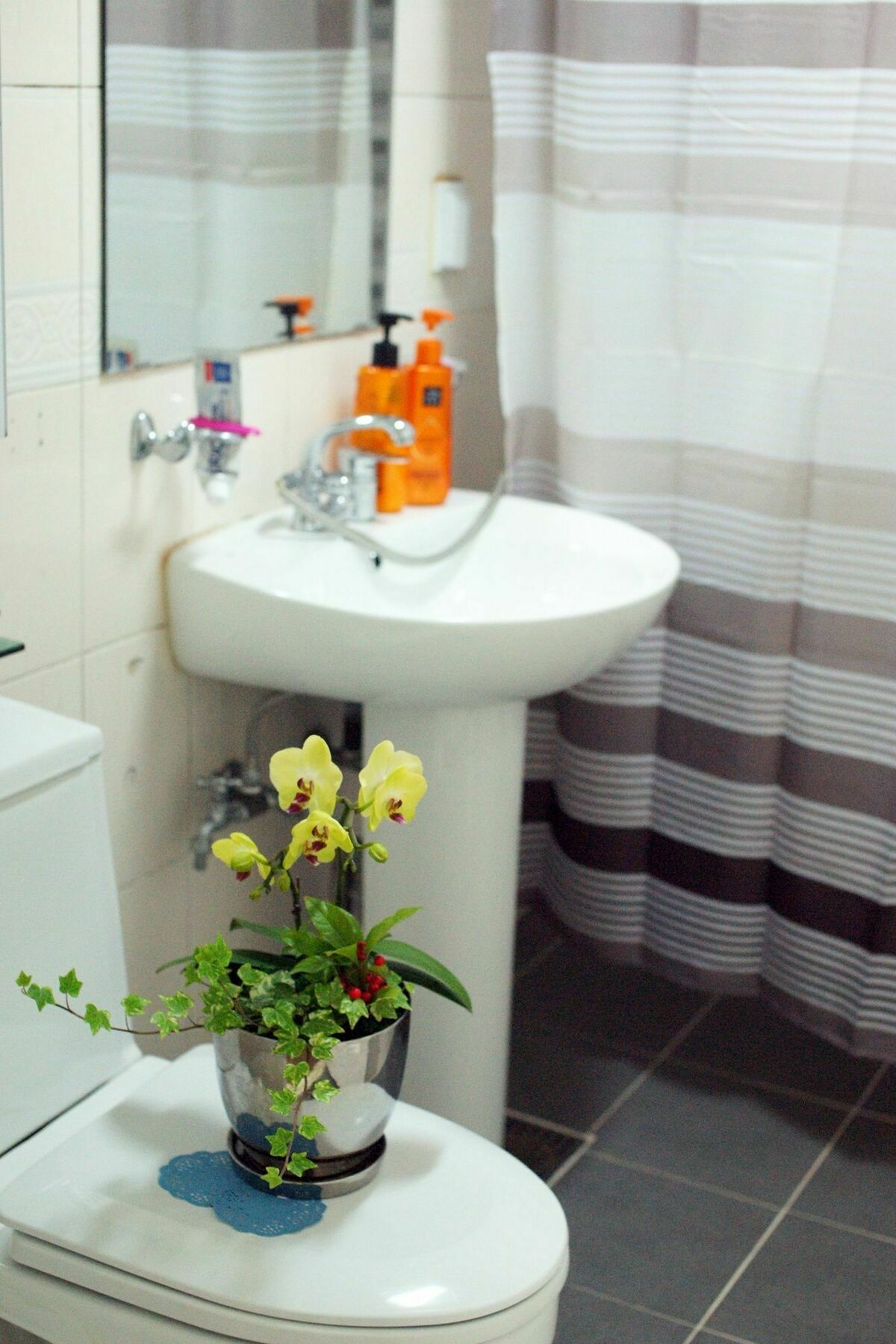 Gina House 2*